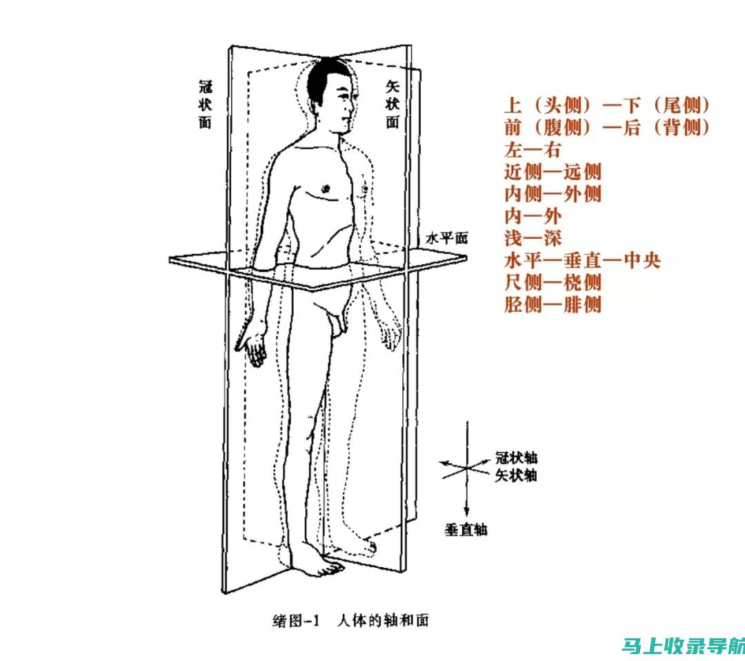 全方位解析SEO策略：关键词优化、内容质量与网站结构的重要性