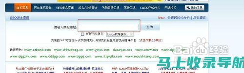 掌握站长网址查询方法，洞察网络资源之秘籍