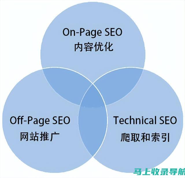 SEO实战手册：网络推广服务的成功秘诀与案例分析